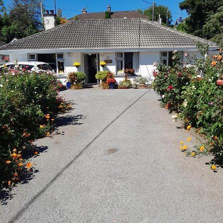 Saint Martin'S Bed And Breakfast Бандън Екстериор снимка