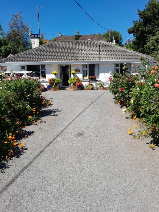 Saint Martin'S Bed And Breakfast Бандън Екстериор снимка
