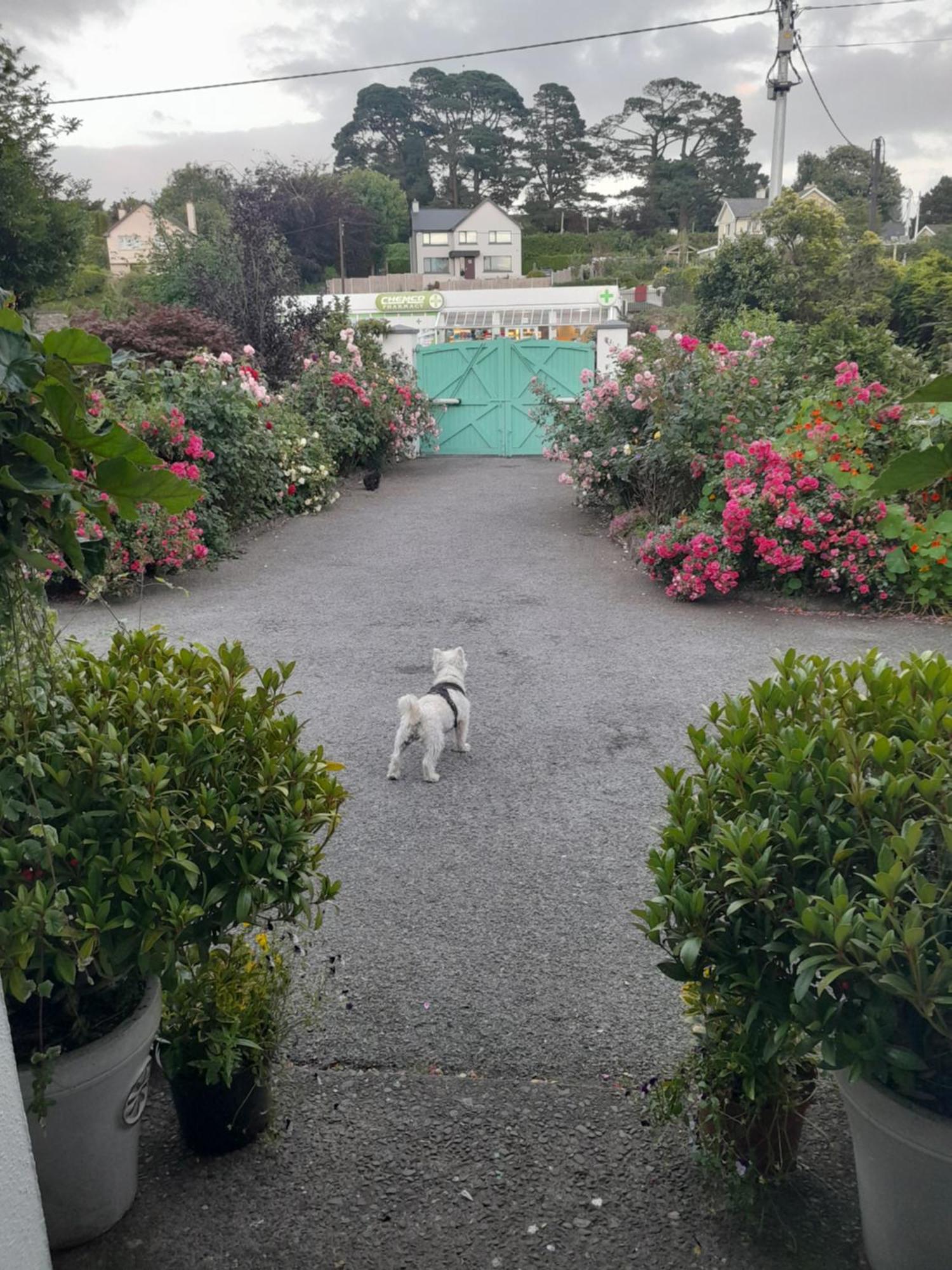 Saint Martin'S Bed And Breakfast Бандън Екстериор снимка