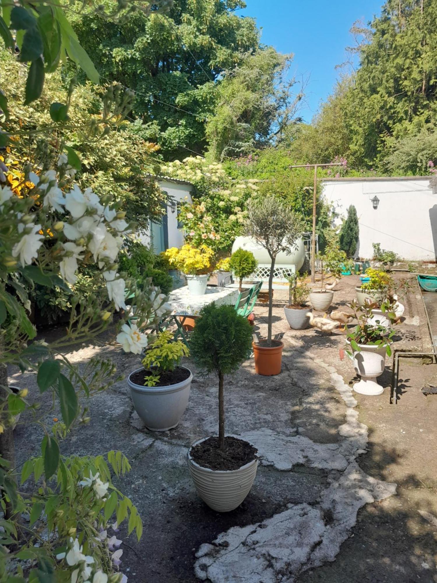 Saint Martin'S Bed And Breakfast Бандън Екстериор снимка